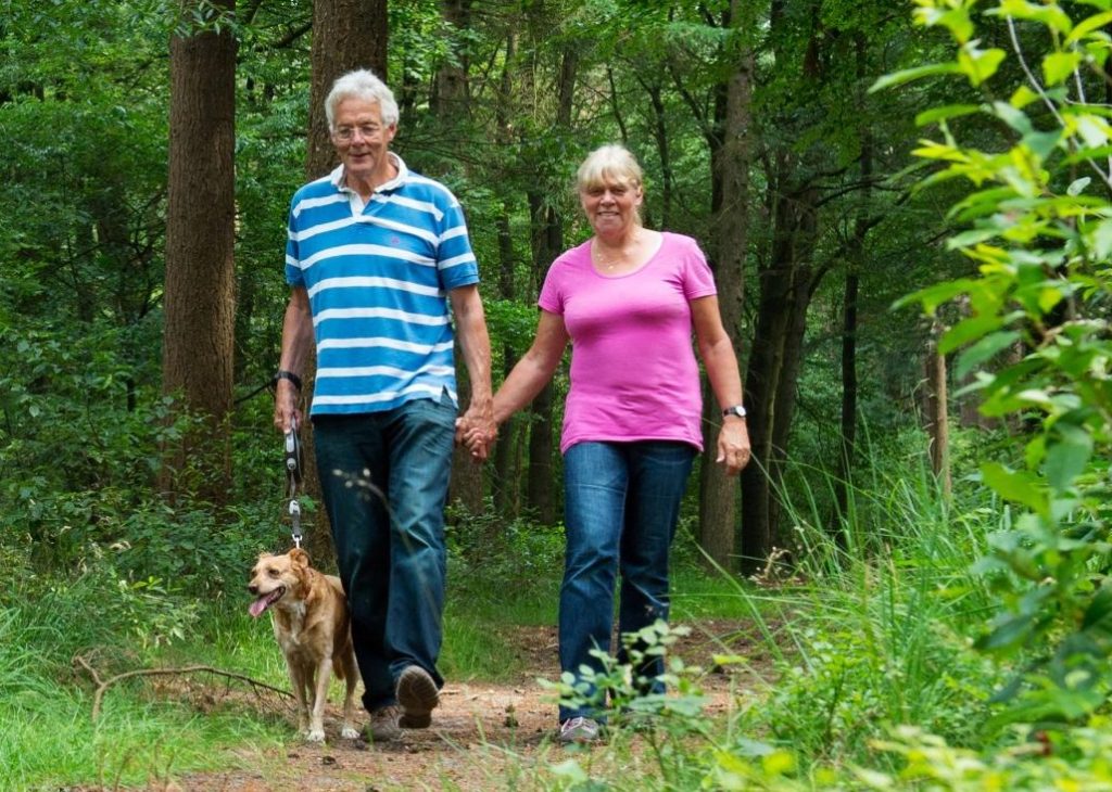 couple walking down path